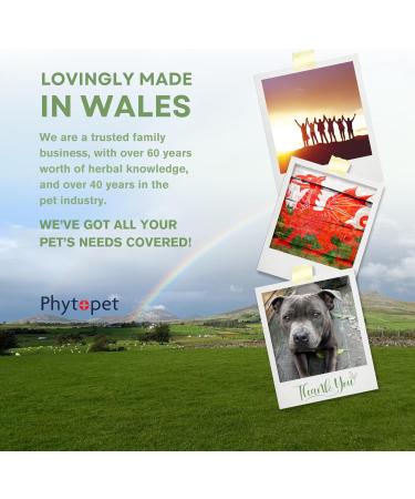 Phytopet THU100 Thuya 100 ml Pet / Herbal - Buy Online on GoSupps.com