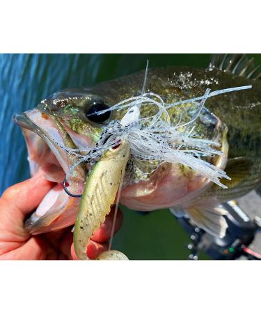 MadBite Swim Jig Fishing Lures 5 Pack - Heavy Brush Guard, Silicone Skirt, Needle Point Hooks - 3/8 oz and 1/2 oz Sizes - Multi-Color Kits - Clear & Muddy Water - Includes Storage Box - Buy Online on GoSupps.com