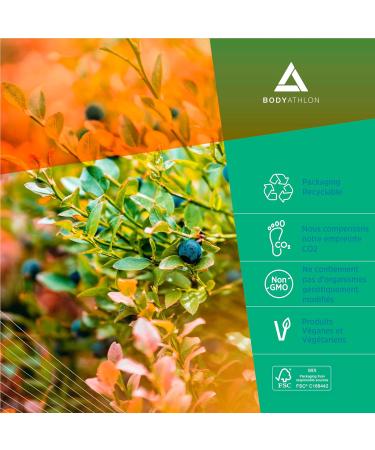 Magnesium Maxi Complex - Magnesium Bisglycinate Marine Magnesium Oxide Malate Magnesium Citrate and Viatmine B6-180 Tablets - Vitamin Magnesium - Buy Online on GoSupps.com