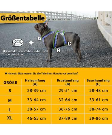 Huntboo Outbreak-Proof Dog Harness & Safety Dishes - Reflective Adjustable Vest for Small Dogs (Vista Blue Size S) | Shop Now - Buy Online on GoSupps.com