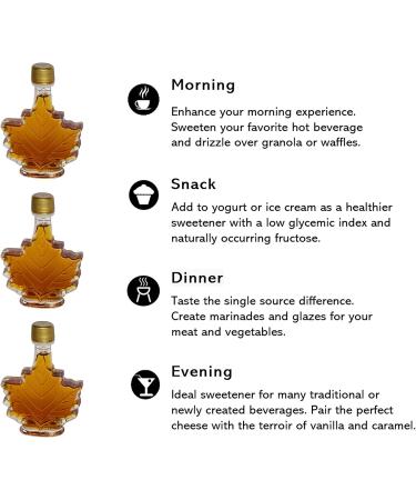 47 North Pure Real Organic Maple Syrup | 3 x 50ml Gift Pack | Grade A Amber Rich Taste and Velvety Smooth Texture | Perfect for Holidays Christmas Birthdays - Buy Online on GoSupps.com