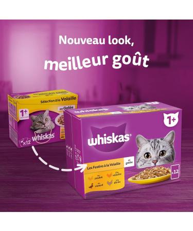 WHISKAS Cat Meals - 48 Fresh Sachets (Pack of 2 Packs 24x85g) - Classic Meals (4 varieties) - Cat Pate - Buy Online on GoSupps.com
