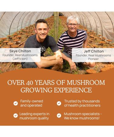 Real Mushrooms Capsules Supplements - Organic Cordyceps Mushroom Powder in Capsules - Energy and Performance Mushrooms with Verified Beta Glucans - Vegan, Non-GMO, 300 Capsules 300 Count (Pack of 1) - Buy Online on GoSupps.com