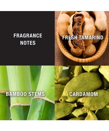 Lucky You Men's Cologne Spray - Day/Night Casual Scent with Bamboo Stem Notes - 3.4 Fl Oz - Buy Online on GoSupps.com