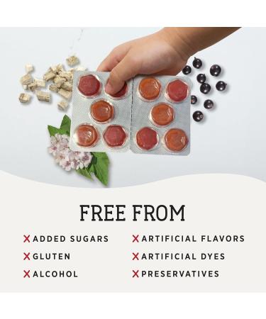 Matys Kids Throat Lozenges for Ages 6 Years Old + Tasty Black Currant Flavor Soothe Dry & Irritated Throats & Voices with Marshmallow Root Sugar Free Vegan Dye Free Alcohol Free 20 Count - Buy Online on GoSupps.com