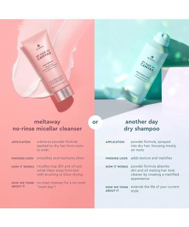 Alterna My Hair My Canvas Meltaway Micellar Cleanser 3.4 fl oz | Vegan Creme-to-Powder Cleanser | Absorbs Oil & Sweat | Peta Tested - Buy Online on GoSupps.com
