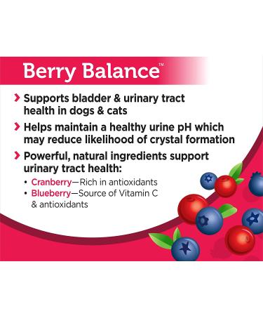 Solid Gold Cranberry Supplement for Pets - Urinary Tract Health Support with Antioxidants - Berry Balance for Cats & Dogs - Buy Online on GoSupps.com