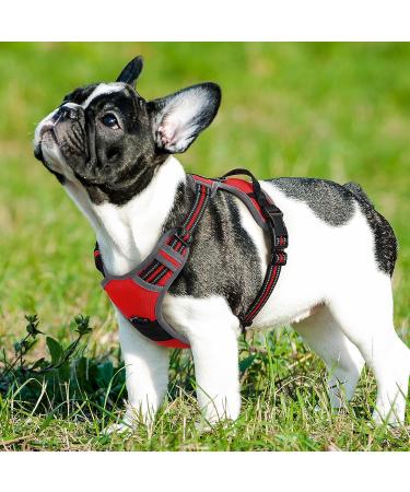 Eagloo Dog Harness for Small Dogs | Adjustable Anti-Train Dog Harness with Reflective Strips | Durable & Comfortable for Walking/Jogging | 1 Pack Red - Buy Online on GoSupps.com