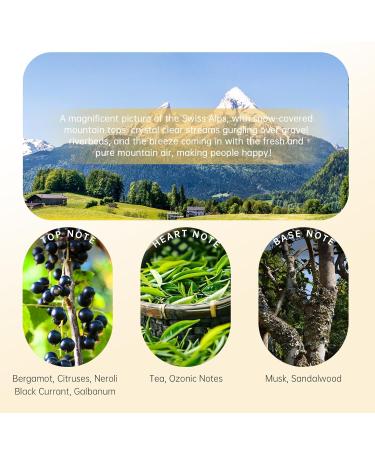 No.025 - Aromatic Eau de Parfum - Inspired by Mountain Water Silver Luxury Fragrance for Men/Women Unisex Long Lasting Perfume Spray - 1.7 Fl Oz/50 ml No.025 - Inspired by Mountain Water Silver - Buy Online on GoSupps.com