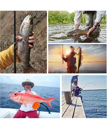 Shop 10Pcs Multi-Colored Spinner Bait Set for Trout Pike Bass & Salmon - Angelk der Fishing Lure with Box - Buy Online on GoSupps.com