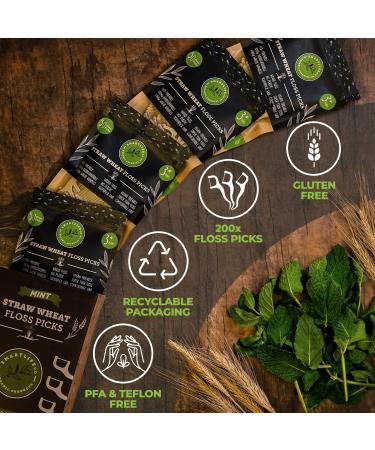 Biodegradable Dental Floss Picks - Natural Plastic Free Handle | Thin Thread Tooth Flossers - Eco Friendly Zero Waste Vegan Organic (200 Mint) - Cool Mint 50 Count (Pack of 4) - Buy Online on GoSupps.com