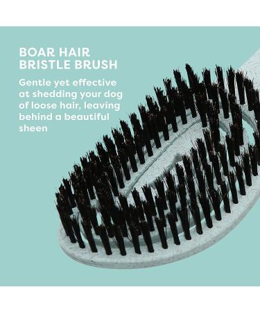 BioSilk Eco-Friendly Dog Grooming Brush - Ergonomic Mint Green Brush for Easy Grooming & Detangling - Buy Online on GoSupps.com