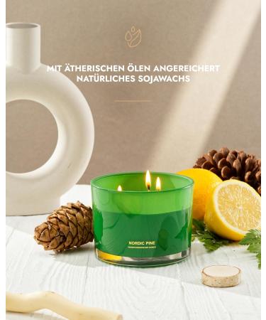 96North Luxury Candles | Kiefer 3-Wick Fragrance Candle | 100% Natural Soy Wax | 40-Hour Burn Time | Perfect Wedding Day Gifts | Nordic Pine Scent - Buy Online on GoSupps.com