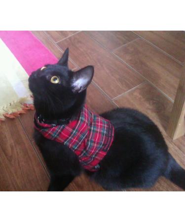 Mynwood Cat Jacket/Harness Royal Stewart Tartan Adult Cat - Buy Online on GoSupps.com