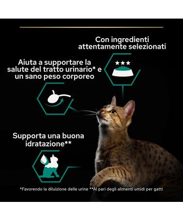 teknotrust Sterilised Neutered Cat Canned Salmon 85 gr X 12 Pieces - Buy Online on GoSupps.com