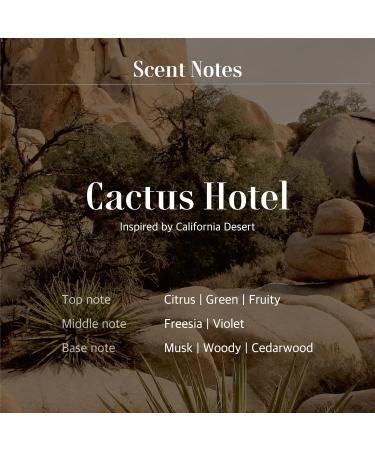 Fountain of Waters Cactus Hotel Hand Wash & Serum Set - Vegan Cruelty-Free Gift for Her - Premium Almond Oil infused - 300ml & 45ml - Crafted in Korea - Buy Online on GoSupps.com