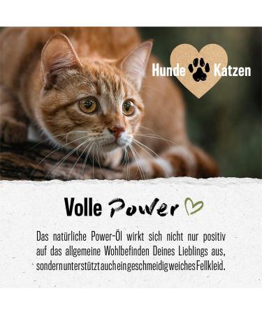 Alphazoo Premium Linseed Oil for Dogs Cats & Rodents - Cold-Pressed Omega-3 & Omega-6 250ml | Fur Care & Digestion - Buy Online on GoSupps.com