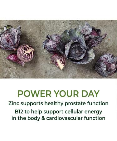 MegaFood Men's One Daily Iron Free | 90 Tablets for Vitality & Wellness - Buy Online on GoSupps.com