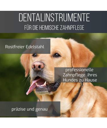 Sword Crown Dog Tartar Remover - Stainless Steel Dual-Head Dental Care Tool for Effective Tartar Removal - Buy Online on GoSupps.com