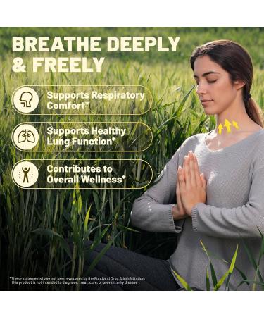 vivcmin Oil of Oregano & Mullein Drops - Respiratory & Digestive Support Wellness - Buy Online on GoSupps.com