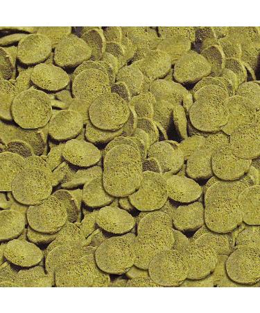 Sera Welsfuck Nature 3.8kg - Premium Form Stable Chips for Healthy Catfish | High Feedability | German-Made Fish Feed for Decorative Fish - Buy Online on GoSupps.com