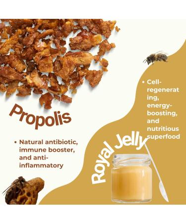 afye Immune System Support Supplement - Natural Blend of Propolis Royal Jelly Echinacea & Vitamin C - Enhances Health Plant-Based 90 Capsules (Pack of 1) - Buy Online on GoSupps.com