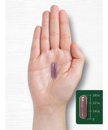 Carlyle Grape Seed Extract 24,000 mg - 240 Capsules | Antioxidant Support - Buy Online on GoSupps.com