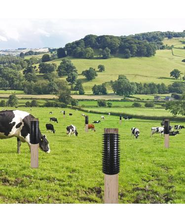 Massage Brush Set for Horses | 2-Piece Scratching Board & Anti-Itch Pad | Essential Horse & Cattle Accessories - Buy Online on GoSupps.com