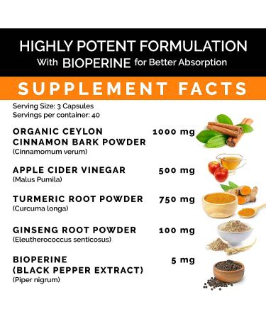 Ceylon Cinnamon Capsules 2355mg with Apple Cider Vinegar, Turmeric & Siberian Ginseng - 5-in-1 Supplement with Bioperine - 240 Capsules - Buy Online on GoSupps.com