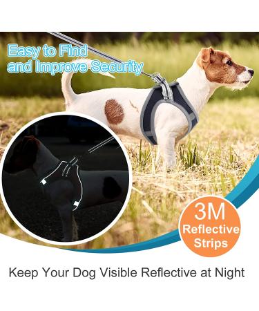 Small Puppy Dog Harness Set | Super Light No Pull Design | All Weather Comfort | Reflective | Black XXS Size - Buy Online on GoSupps.com