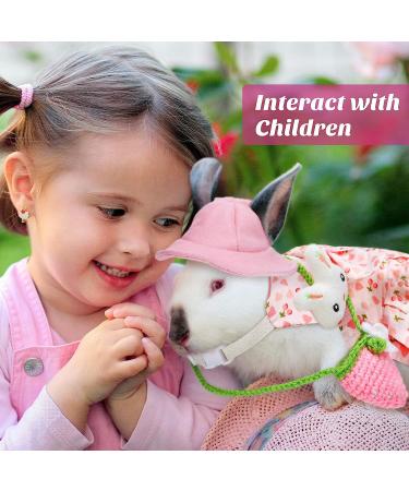 Pet Rabbit Bunny Easter Costume Set with Leash, Hat, and Mini Bag - Pineapple and Cherry Design | Small Animals Accessory for Rabbit, Hedgehog, Ferret, Guinea Pigs, Squirrel - Buy Online on GoSupps.com