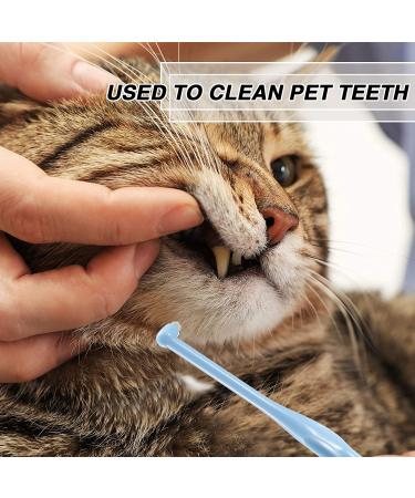 Interdental Brushes & Tooth Stain Remover Set - 6 Piece Dental Cleaning Kit for Implants & Detail Cleaning - Buy Online on GoSupps.com