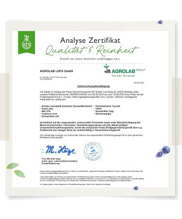 L-Tyrosine - 365 Vegan Capsules - Extra Heavily Dosed with 1300mg per Daily Serving - Pure Amino Acid from Plant Fermentation - Vegan - High Dose - Buy Online on GoSupps.com