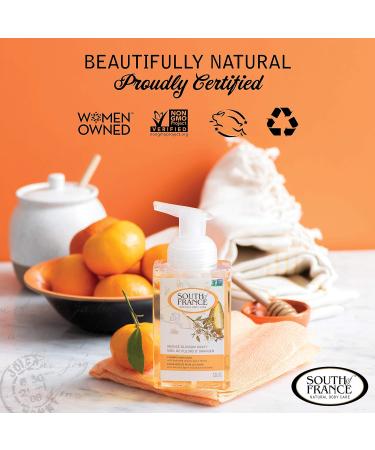 South of France Foaming Hand Soap 8oz - Orange Blossom Honey 3-Pack - Buy Online on GoSupps.com