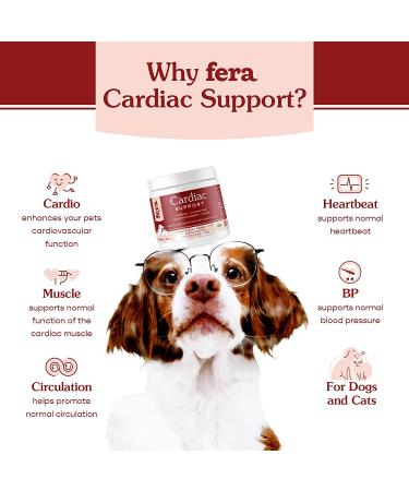 FERA Cardiac Support Supplement | Dogs Cats | Taurine, L-Carnitine, CoQ10, Hawthorn, Vitamin E | Promotes Heart Health & Circulation | 120 Capsules - Buy Online on GoSupps.com
