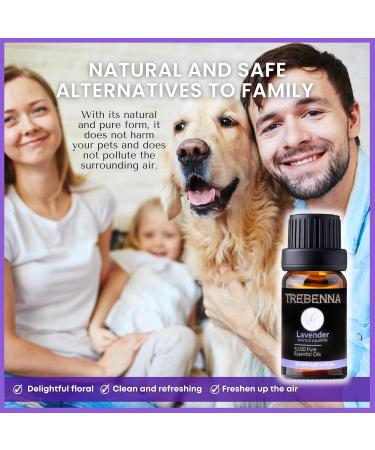 Pure Lavender Oil - Therapeutic Grade Essential Oil for Diffuser Skin Care Hair Growth Aromatherapy & Relaxation - 10mL - Buy Online on GoSupps.com