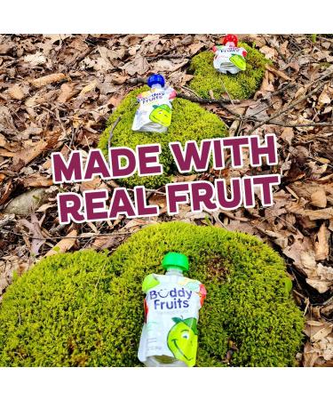 Buddy Fruits Pure Blended Fruit - Apple & Cinnamon - 18-Pack for Healthy Snacking - Buy Online on GoSupps.com