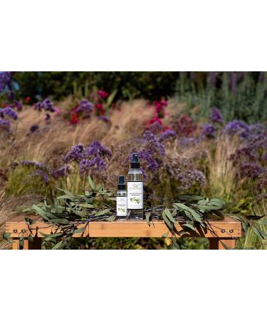 EuroSpa Aromatics Pure Eucalyptus Oil ShowerMist and Steam Room Spray All-Natural Premium Aromatherapy Essential Oils - Pure Eucalyptus Duo Pack 8oz and 2oz - Buy Online on GoSupps.com