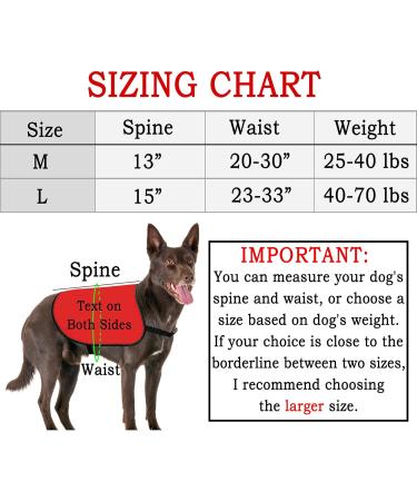 Buy HOLLP Training Dog Jacket Vest - Medium Safety Vest for Dog Walking & Training - Comfortable & Durable - Buy Online on GoSupps.com