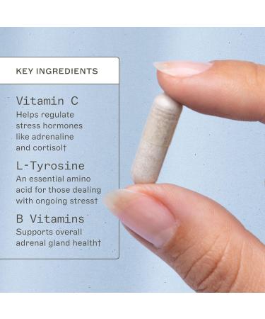 Amy Myers MD Acid Restore with Betaine & HCL - Supplement for Digestive & Gut Health Support - with Slippery Elm Bark - Non-GMO Gluten-Free & Non-Dairy - 60 Capsules (60 Servings) 60 Count (Pack of 1) - Buy Online on GoSupps.com