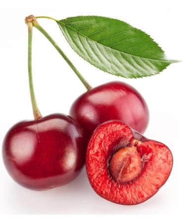 100% Pure Cherry Kernel Oil - Unrefined Cold Pressed Vegan Carrier Oil for Hair & Skin - 32 oz Therapeutic Grade - Buy Online on GoSupps.com