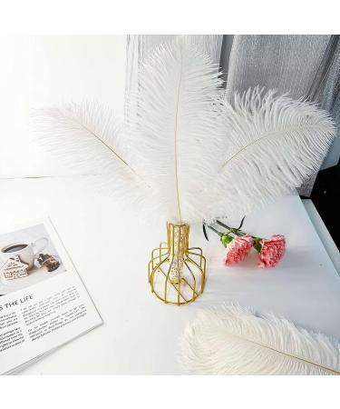 Piokio 20 pcs White Ostrich Feathers Plumes 10-12 inch | DIY Christmas & Wedding Party Decorations - Buy Online on GoSupps.com
