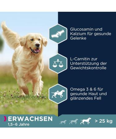 Eukanuba Dog Food for Large Breeds - Lamb & Rice Dry Food 2.5 kg Pack for Adult Dogs - Premium Nutrition - Buy Online on GoSupps.com