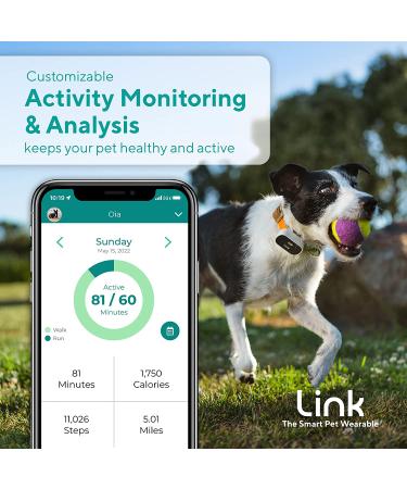 GPS Dog Tracker + Activity Monitor with Training Tools | Waterproof & Lightweight | PetPass & Vet Record Storage | Fits Most Collars | iPhone & Android Apps - Buy Online on GoSupps.com