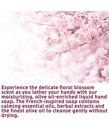 Olivia Care All Natural Liquid Hand Soap with Essential Oils - Germ-Fighting Moisturizing Hand Wash for Kitchen & Bathroom - 18.5 OZ - Buy Online on GoSupps.com