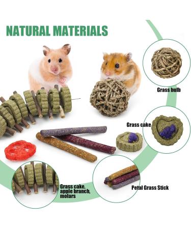 14Pcs Bunny Enrichment Toys Natural Hamster Chew Sticks Molar Guinea Pig Chew Ball Different Flavors Grass Cakes Teeth Grinding Chinchilla Treats for Syrian Hamster Rabbit Gerbil(H02) - Buy Online on GoSupps.com