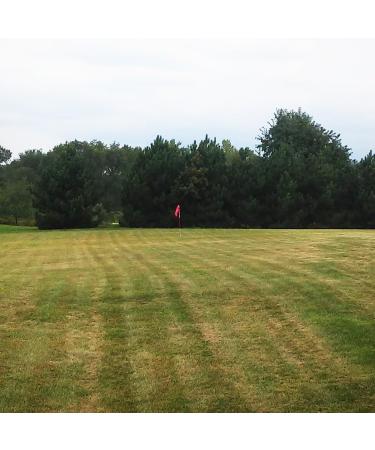 Tour Gear Portable Golf Flag with Cup  6-Foot Height Flagstick  Create Your Own 19th Hole Backyard Golf Practice Hole  White/Red - Buy Online on GoSupps.com