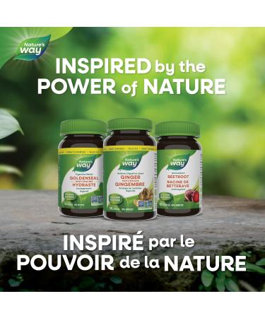 Nature's Way Ginger Root Traditional Digestive Support Supplement - Used in Herbal Medicine to Help Relieve Digestive Upset Non-GMO - 180 Vegetarian Capsules Value Size 180 count (Pack of 1) Supplement - Buy Online on GoSupps.com