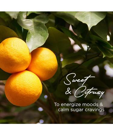 Gya Labs Grapefruit Essential Oil Roll-On 10ml - Sweet Citrus Scent | Pack of 1 - Buy Online on GoSupps.com