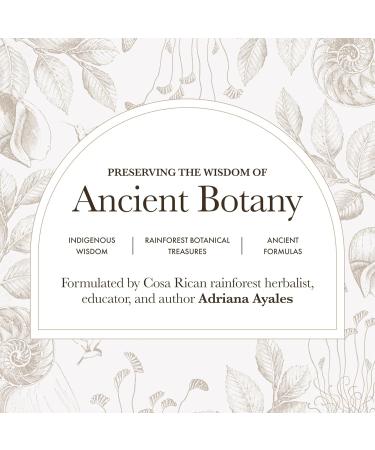 Anima Mundi Apothecary Relax Tonic Nervous System Support - Natural Calm Aid & Mood Enhancer - Achieve Stress Relief with Lemon Balm Passionflower Chamomile Ashwagandha Root & Lavender (2 fl oz) - Buy Online on GoSupps.com